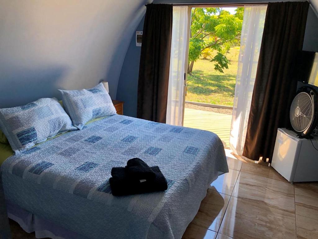 Hetuu room · single bed, natural light (1/1)